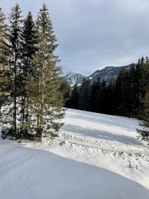 Alpenurlaub II Wohnung Mit Traumausblick Bad Mitterndorf Luaran gambar