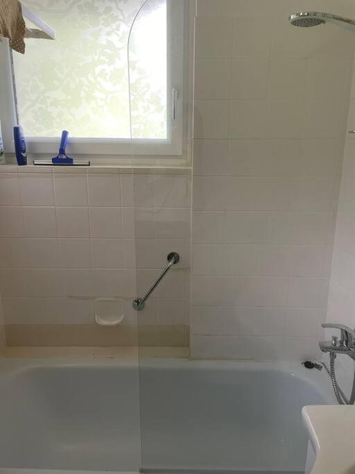Alpenurlaub II Wohnung Mit Traumausblick Bad Mitterndorf Luaran gambar
